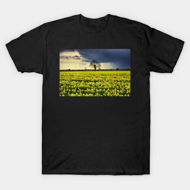 Winter Passing T-Shirt by InspiraImage